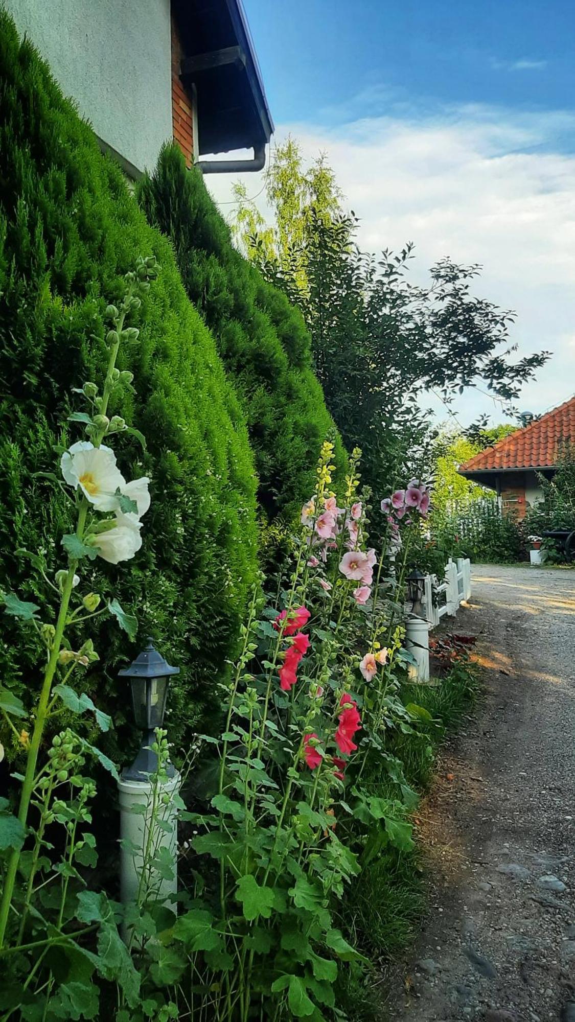 Straznica Komtura Apartman Mikołajki Kültér fotó